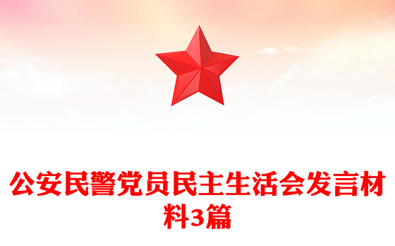 公安民警党员民主生活会发言材料3篇