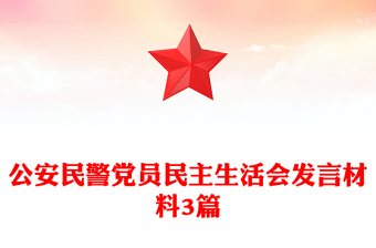 公安民警党员民主生活会发言材料3篇