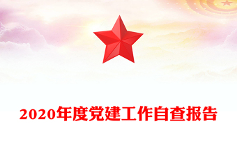 2020年度党建工作自查报告