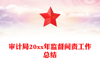 审计局20xx年监督问责工作总结