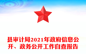 县审计局2021年政府信息公开、政务公开工作自查报告