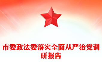 市委政法委落实全面从严治党调研报告