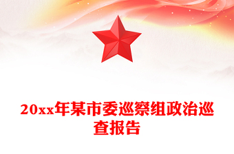 20xx年某市委巡察组政治巡查报告
