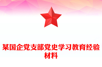 某国企党支部党史学习教育经验材料