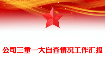 公司三重一大自查情况工作汇报