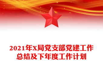 2021年X局党支部党建工作总结及下年度工作计划