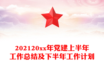 202120xx年党建上半年工作总结及下半年工作计划