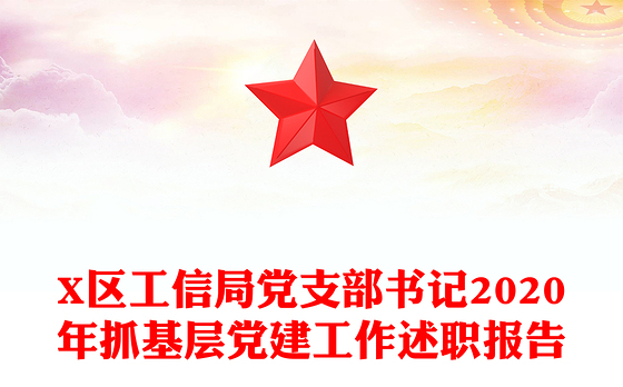 X区工信局党支部书记2020年抓基层党建工作述职报告