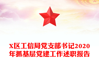 X区工信局党支部书记2020年抓基层党建工作述职报告