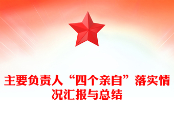 主要负责人“四个亲自”落实情况汇报与总结