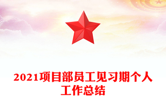 2021项目部员工见习期个人工作总结