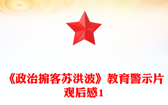 《政治掮客苏洪波》教育警示片观后感1