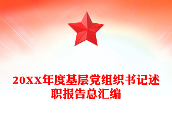 20XX年度基层党组织书记述职报告总汇编