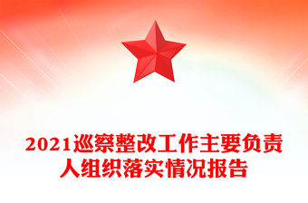 2021巡察整改工作主要负责人组织落实情况报告