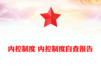 内控制度 内控制度自查报告