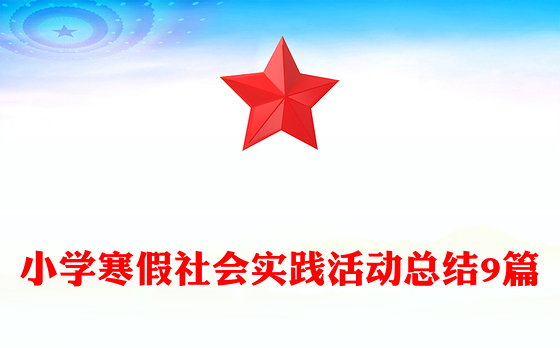 小学寒假社会实践活动总结9篇