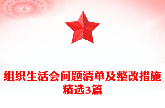 组织生活会问题清单及整改措施精选3篇
