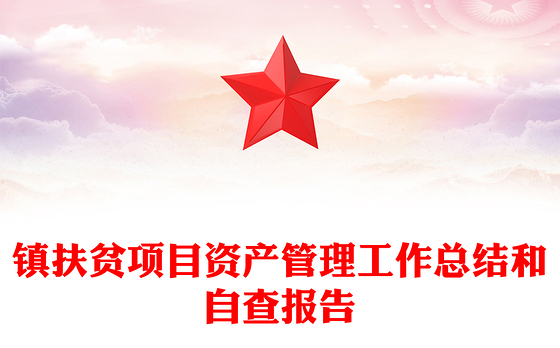 镇扶贫项目资产管理工作总结和自查报告