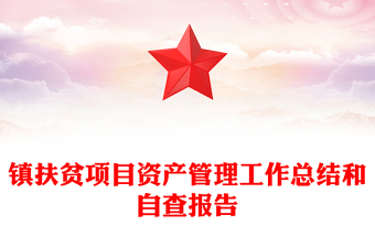 镇扶贫项目资产管理工作总结和自查报告