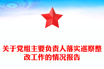关于党组主要负责人落实巡察整改工作的情况报告