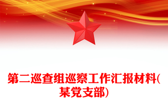 第二巡查组巡察工作汇报材料(某党支部)