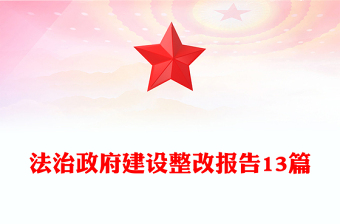 法治政府建设整改报告13篇