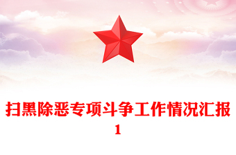扫黑除恶专项斗争工作情况汇报1