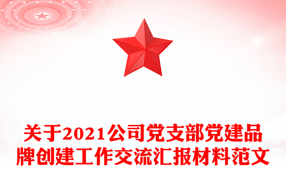 关于2021公司党支部党建品牌创建工作交流汇报材料范文