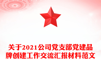 关于2021公司党支部党建品牌创建工作交流汇报材料范文