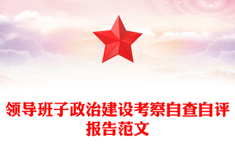 领导班子政治建设考察自查自评报告范文