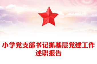小学党支部书记抓基层党建工作述职报告