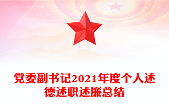 党委副书记2021年度个人述德述职述廉总结