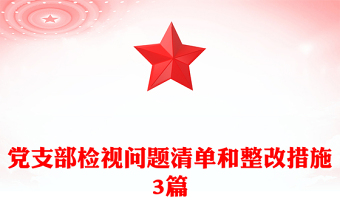 党支部检视问题清单和整改措施3篇