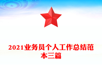 2021业务员个人工作总结范本三篇