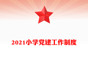 2021小学党建工作制度