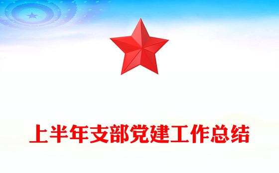 上半年支部党建工作总结