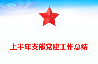 上半年支部党建工作总结