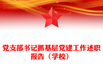 党支部书记抓基层党建工作述职报告（学校）