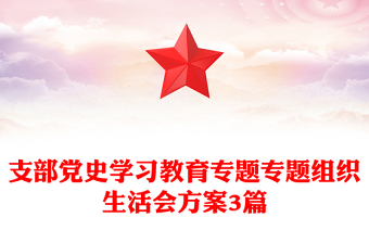 支部党史学习教育专题专题组织生活会方案3篇