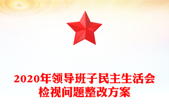 2020年领导班子民主生活会检视问题整改方案
