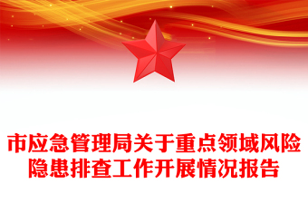 市应急管理局关于重点领域风险隐患排查工作开展情况报告