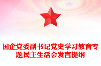 国企党委副书记党史学习教育专题民主生活会发言提纲