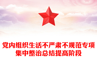党内组织生活不严肃不规范专项集中整治总结提高阶段