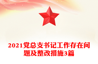 2021党总支书记工作存在问题及整改措施3篇