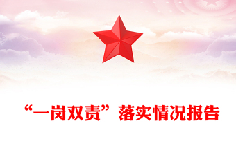 “一岗双责”落实情况报告