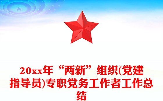 20xx年“两新”组织(党建指导员)专职党务工作者工作总结