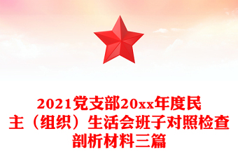 2021党支部20xx年度民主（组织）生活会班子对照检查剖析材料三篇