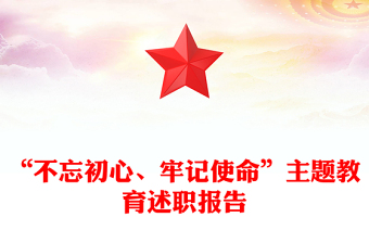 “不忘初心、牢记使命”主题教育述职报告