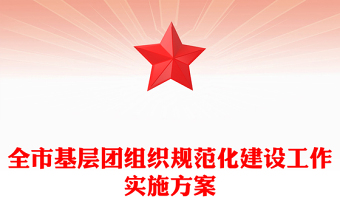 全市基层团组织规范化建设工作实施方案