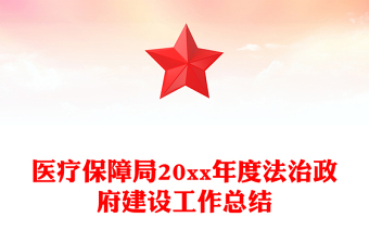 医疗保障局20xx年度法治政府建设工作总结